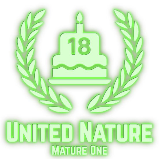 UN 2025 Logo